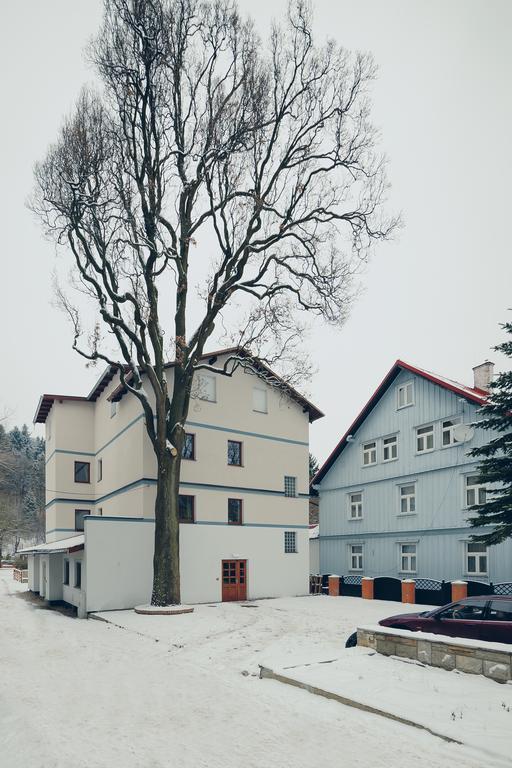 Pensjonat Limba Duszniki Zdrój Exterior foto